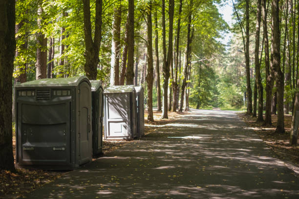 Best Luxury portable toilet rental  in Morgandale, OH